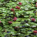 상리공원 이미지