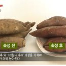 아삽야콘농원 이미지