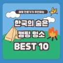 여행전문가 이미지
