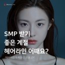 헤어팡팡 & 가발