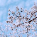 버들농원 이미지