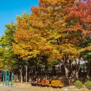 살구골공원 이미지