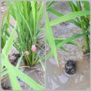 덕림환경 이미지