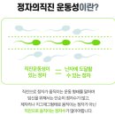 티오피인터내셔널 이미지