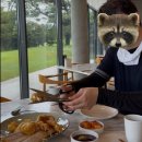 그늘집 | 제주 해비치CC 그늘집 후기｜돌문어튀김·해비치에일, 여름 라운딩 간식
