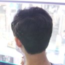 이젤리아 이미지