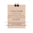 캘리헤어 이미지