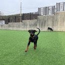 불리빌로우코리아센터 이미지