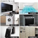 물향기시티 이미지