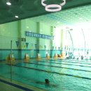 서평택국민체육센터 수영장 이미지