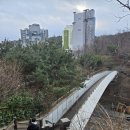 은평-021 이미지