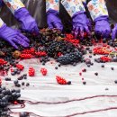 2018 광명동굴 대한민국 와인 페스티벌 이미지