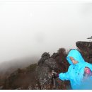 지리산 단풍비 이미지