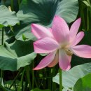 송산2리 마을회관 이미지