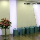세계로간호학원