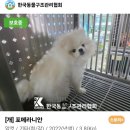 온마음 동물메디컬센터 이미지