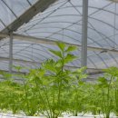 수경산업 이미지