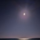 거진11리해변 | 고성통일명태축제 솔직후기