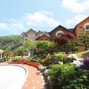 동강시스타 이미지