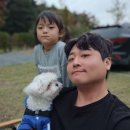 마실야영장 | 울산 중구 황방산생태야영장 캠핑장 원터치 팝업텐트로 초겨울 1박 &amp; 카라반 후기