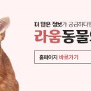 24시 라움동물의료센터 이미지