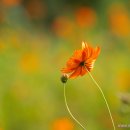 수원농장 이미지