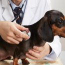 지인동물병원 이미지