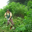 뇌조3리 이미지