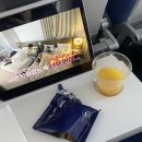 719 | 🇩🇪🇫🇷 유럽 여행 | 루프트한자 LH719 해외항공기 체크인 기내식 후기 뮌헨 경유 파리가는법