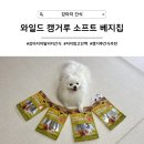 데일리점핑 | [강아지 간식] 저알러지 데일리간식 추천, 와일드캥거루 소프트베지칩