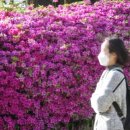 대덕대로-15 이미지