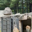 현진푸드주 | 26.May..