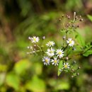 원동재로 이미지