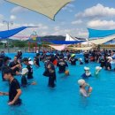 낙동강변18 이미지