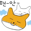 성북동과일카페 58.4