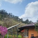 곡성 기차마을 애견동반펜션 이미지