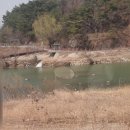 화강교