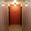 대관령로뎀나무 이미지