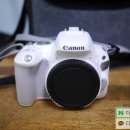 쉽게 배우는 DSLR 카메라 | 캐논 DSLR 200D 아직 쓸만할까? 안양 중고카메라 출장매입 후기
