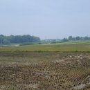 성현목장 이미지