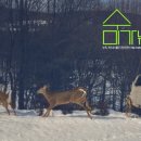 수미민박 이미지