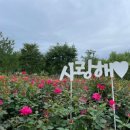 사계절여행사 - 부여군 수북로41번길 8-15 | 사계절여행사