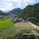 남천1리 솔밭공원 이미지