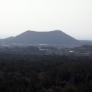 저지오름 이미지