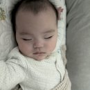 부인농원 | 3살 터울 자매 육아일기💕6개월&amp;41개월 아기 일상_배밀이 기어다니기 시작&amp;이유식 시작_아빠랑 단 둘이...