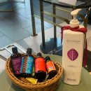 앤 헤어 | 센텀 미용실 실크보톡스 에코레비헤어앤스파 후기