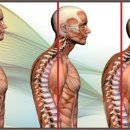 도리도리 이미지