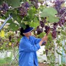 백산리마을회관 이미지