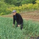 농민농약종묘 이미지