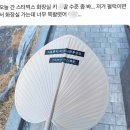 별빛논현